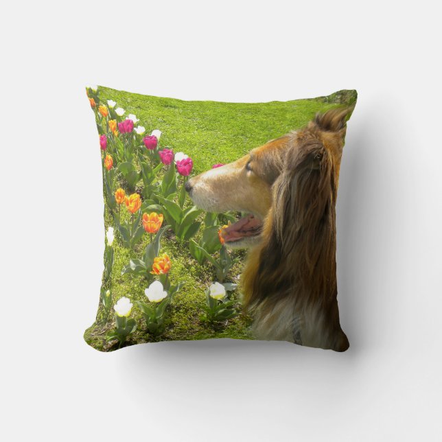 Sable Rough Collie en Tulpen Kussen (Voorkant)