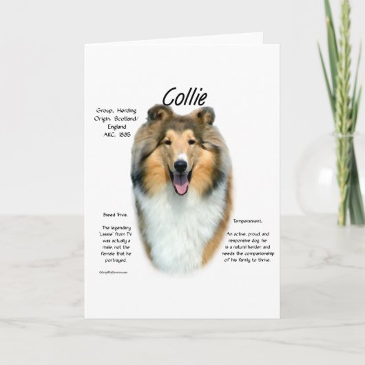 Sable Rough Collie Maak kennis met het ras Feestdagen Kaart (Voorkant)