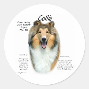 Sable Rough Collie Maak kennis met het ras - Stick Ronde Sticker