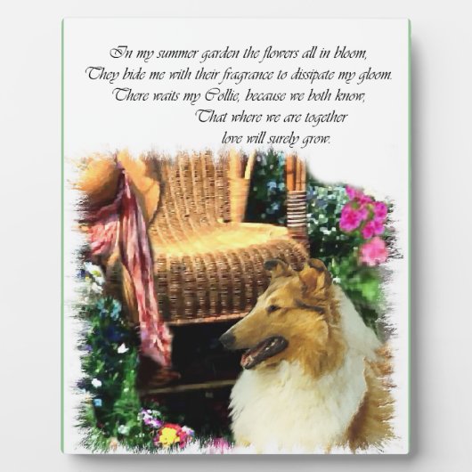 Sable Rough Collie where Love Groeit Fotoplaat (Voorkant)