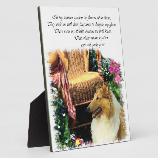 Sable Rough Collie where Love Groeit Fotoplaat (Zijkant)