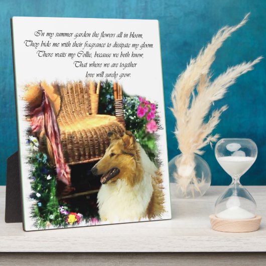 Sable Rough Collie where Love Groeit Fotoplaat (Zijkant)