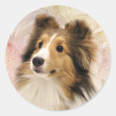 Sable Sheltie face Ronde Sticker (Voorkant)
