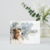Sable Sheltie Kerstmis Feestdagenkaart (Staand voorkant)