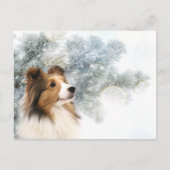 Sable Sheltie Kerstmis Feestdagenkaart (Voorkant)