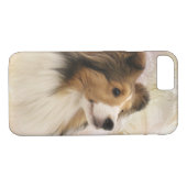 Sable Shetland Sheepdog Case-Mate iPhone Case (Achterkant (Horizontaal))