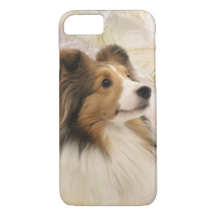 Sable Shetland Sheepdog Case-Mate iPhone Case