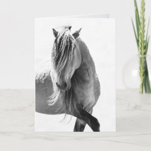 Sable Stallion's Pride - Wilde Paard Wenskaarten Kaart