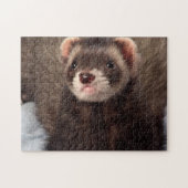 Sable Weasel - Jabba the Ferret Legpuzzel (Horizontaal)