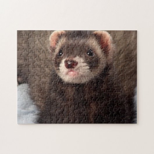 Sable Weasel - Jabba the Ferret Legpuzzel (Horizontaal)