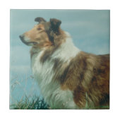 Sable & White Collie Rough Coat Tile Tegeltje (Voorkant)