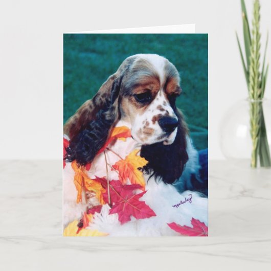 Sable witte Cocker Spaniel Kaart (Voorkant)