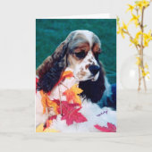 Sable witte Cocker Spaniel Kaart (Gele Bloem)