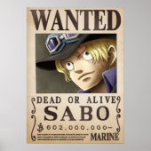 Sabo wilde poster (Voorkant)