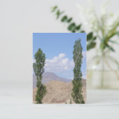 Saboo Ayu. Ladakh, India Briefkaart (Staand voorkant)