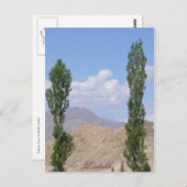 Saboo Ayu. Ladakh, India Briefkaart (Voorkant / Achterkant)