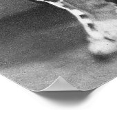 Sac en Fox Nation: 1868 Poster (Hoek)