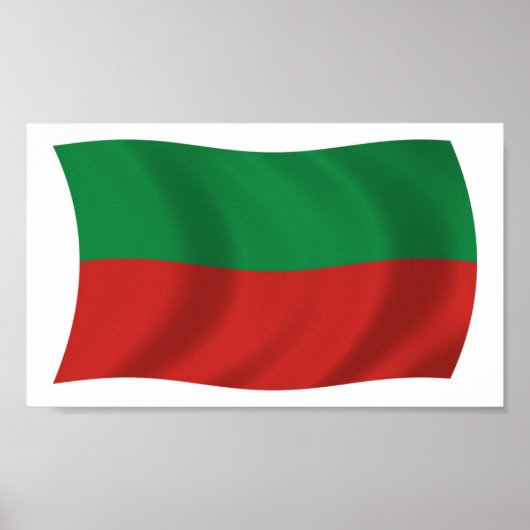 Sac & Fox Nation (Iowa) Vlag Poster Print (Voorkant)