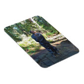 Sacagawea Statue, Fort Clatsop, Astoria, Oregon Magneet (Rechterzijde)