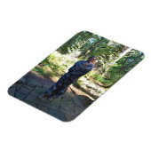 Sacagawea Statue, Fort Clatsop, Astoria, Oregon Magneet (Linkerzijde)