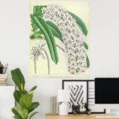 Saccolabium Blumei Orchid Flower Poster (Thuiskantoor)