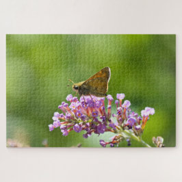 Sachem (Atalopedes campestris) Legpuzzel