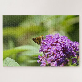 Sachem (Atalopedes campestris) Legpuzzel