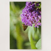 Sachem (Atalopedes campestris) Legpuzzel (Verticaal)