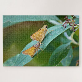 Sachem (Atalopedes campestris) Legpuzzel