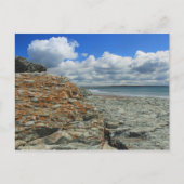 Sachuest Beach Newport Middletown Briefkaart (Voorkant)