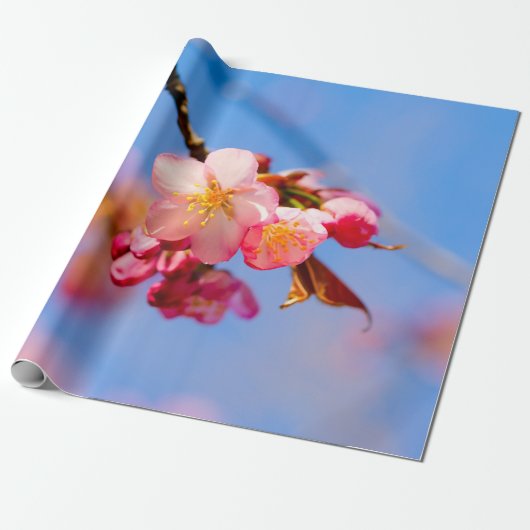 Sachura Flowers, Buds en Blue Sky Cadeaupapier (Uitgerold)