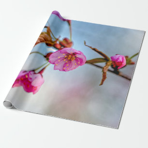 Sachura Flowers in zacht roze kleuren Cadeaupapier