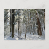 Saco Health Preserve Sneeuw Briefkaart (Voorkant)
