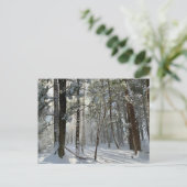 Saco Health Preserve Sneeuw Briefkaart (Staand voorkant)