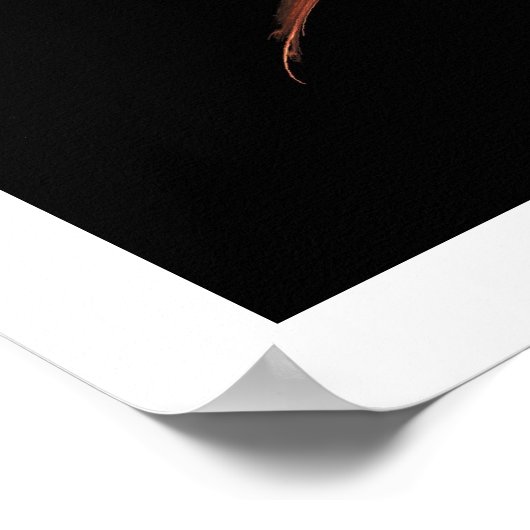 Sacral Chakra Poster (Hoek)