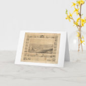 Sacramento, CA. Panoramische Kaart 1857 (0066A) (Gele Bloem)