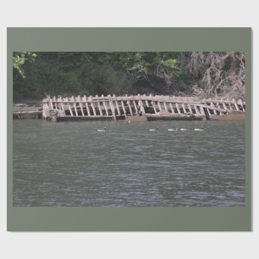 Sacramento Cadeaupapier (Vlak)