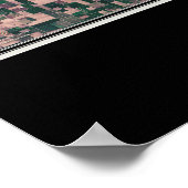 Sacramento California Satellite Poster Map (Hoek)