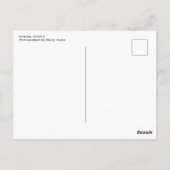 Sacramento Californië - Verkeer tijdens de avond Briefkaart (Achterkant)