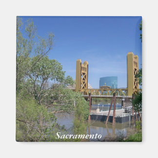 sacramento magneet