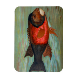 Sacramento Pike beroemd gemaakt door John L. Petri Magneet