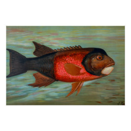 Sacramento Pike beroemd gemaakt door John L. Petri Perfect Poster