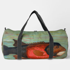 Sacramento Pike beroemd gemaakt door John L. Petri Plunjezak