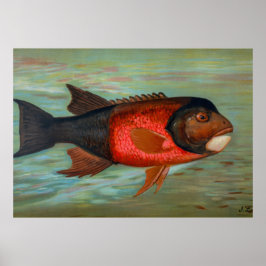 Sacramento Pike beroemd gemaakt door John L. Petri Poster