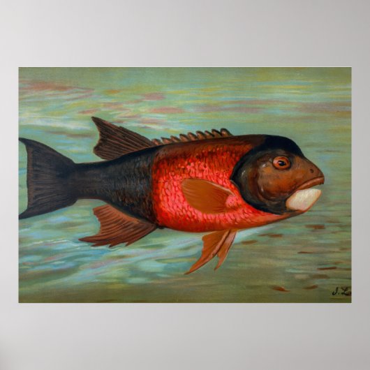 Sacramento Pike beroemd gemaakt door John L. Petri Poster (Voorkant)