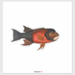 Sacramento Pike beroemd gemaakt door John L. Petri Sticker