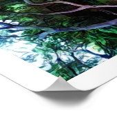 Sacramento Poster (Hoek)