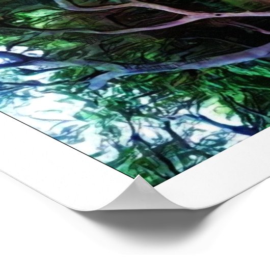 Sacramento Poster (Hoek)