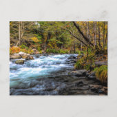 SACRAMENTO RIVER BRIEFKAART (Voorkant)