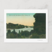 Sacramento, SceneColusa, CA Briefkaart (Voorkant)